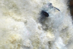 P4181497